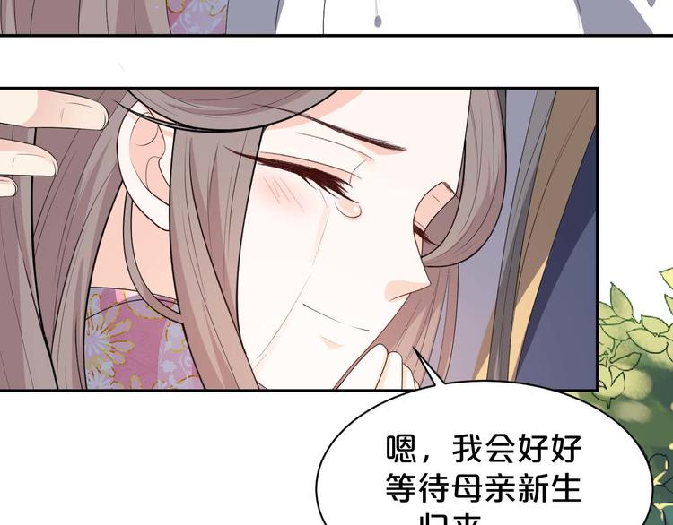 《几度锦月醉宫柳》漫画最新章节第156话 入宫赴宴免费下拉式在线观看章节第【27】张图片