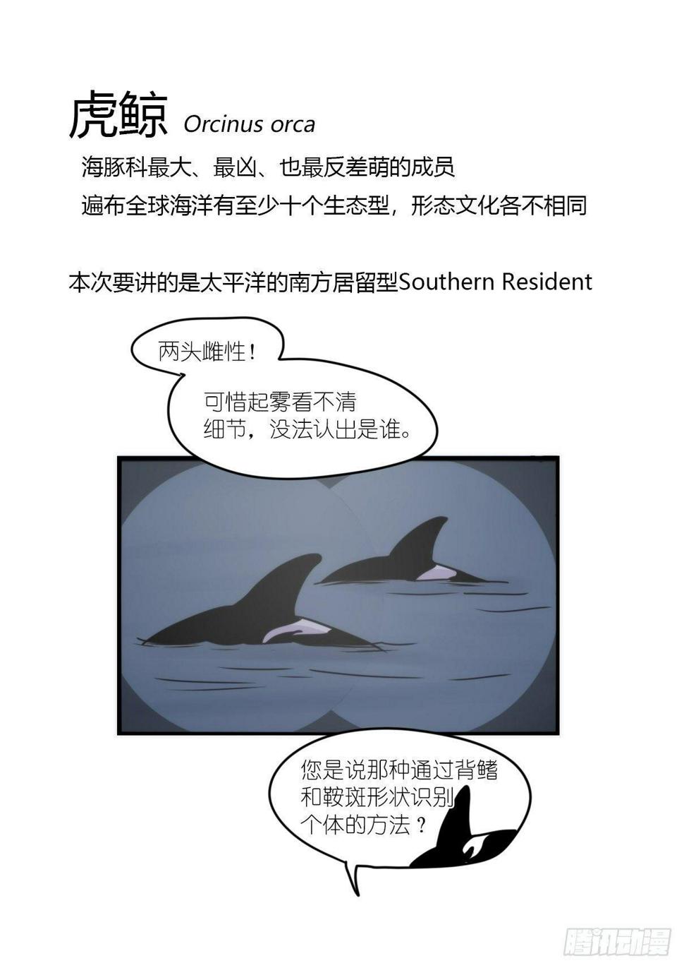 进化之基-虎鲸篇：这些杀手不太冷01全彩韩漫标签
