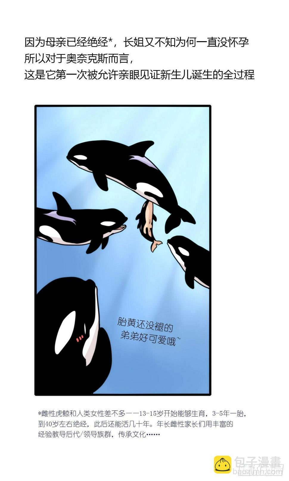 进化之基-虎鲸篇：这些杀手不太冷03全彩韩漫标签