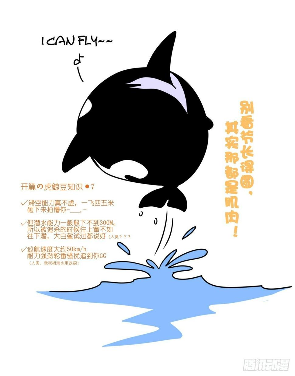 进化之基-虎鲸篇：这些杀手不太冷07全彩韩漫标签