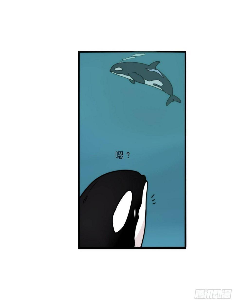 进化之基-虎鲸篇：这些杀手不太冷13全彩韩漫标签