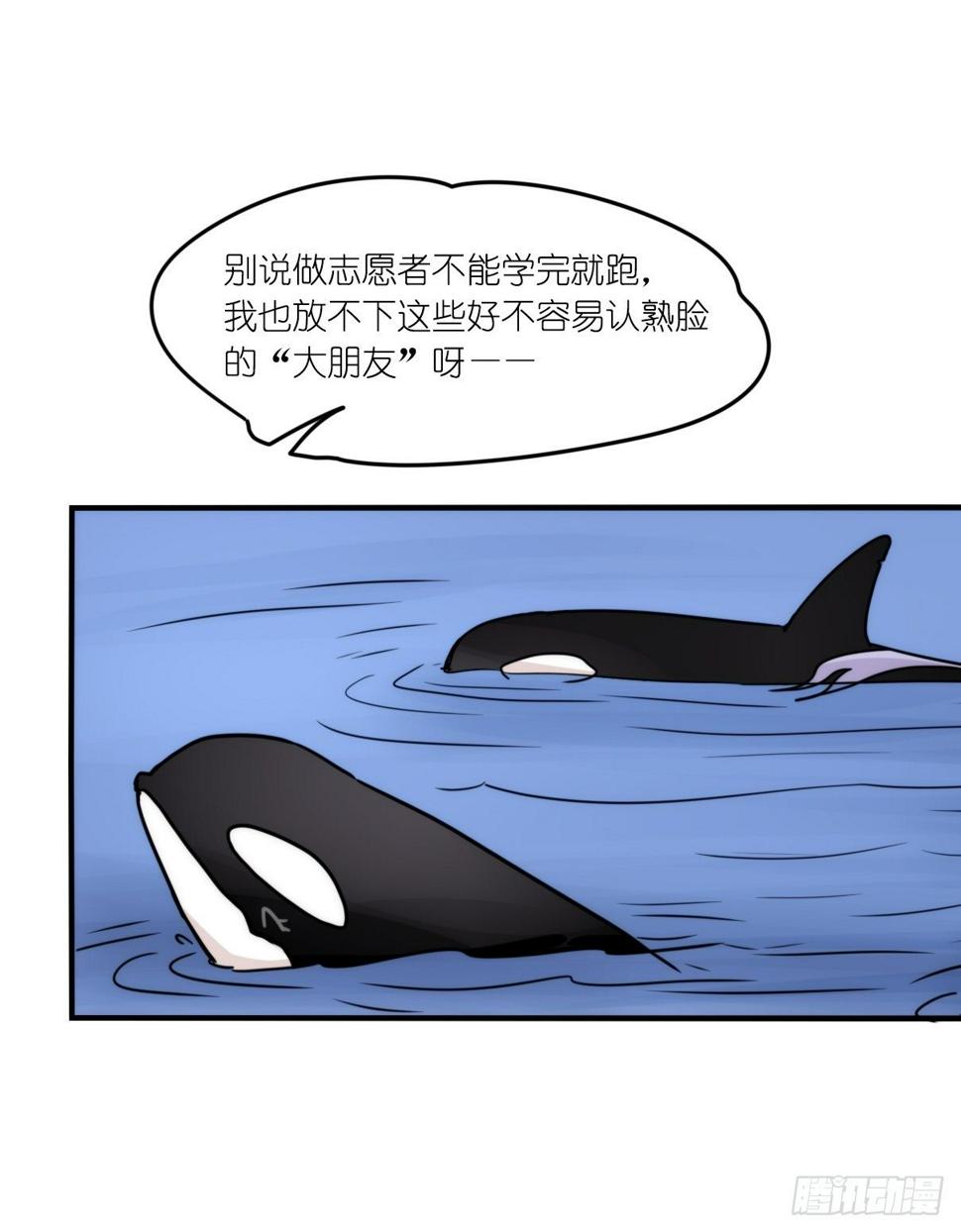 进化之基-虎鲸L87番外·不愧是你全彩韩漫标签
