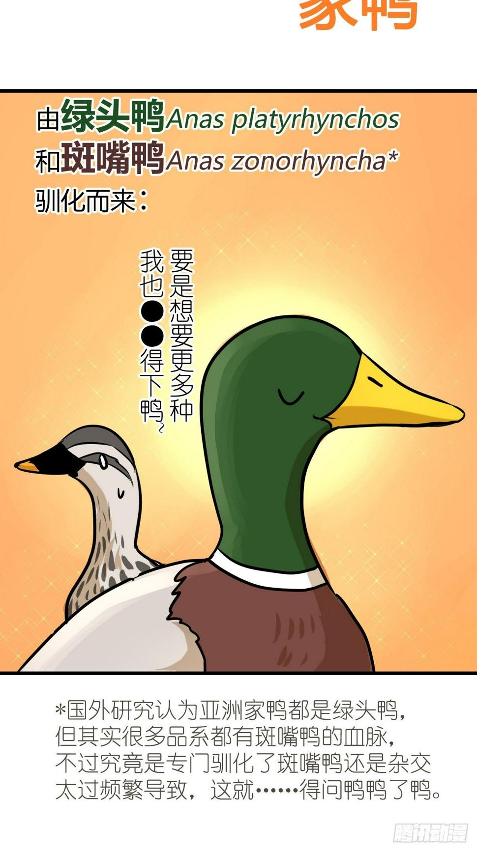 进化之基-事业篇II：鸭鸭的奇妙冒险·上全彩韩漫标签