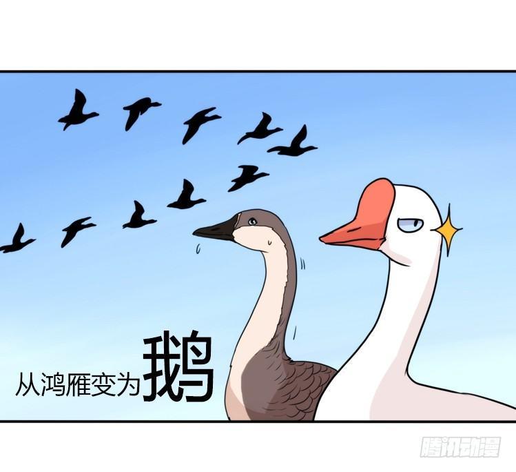 进化之基-家有鹅霸：最难走的套路全彩韩漫标签