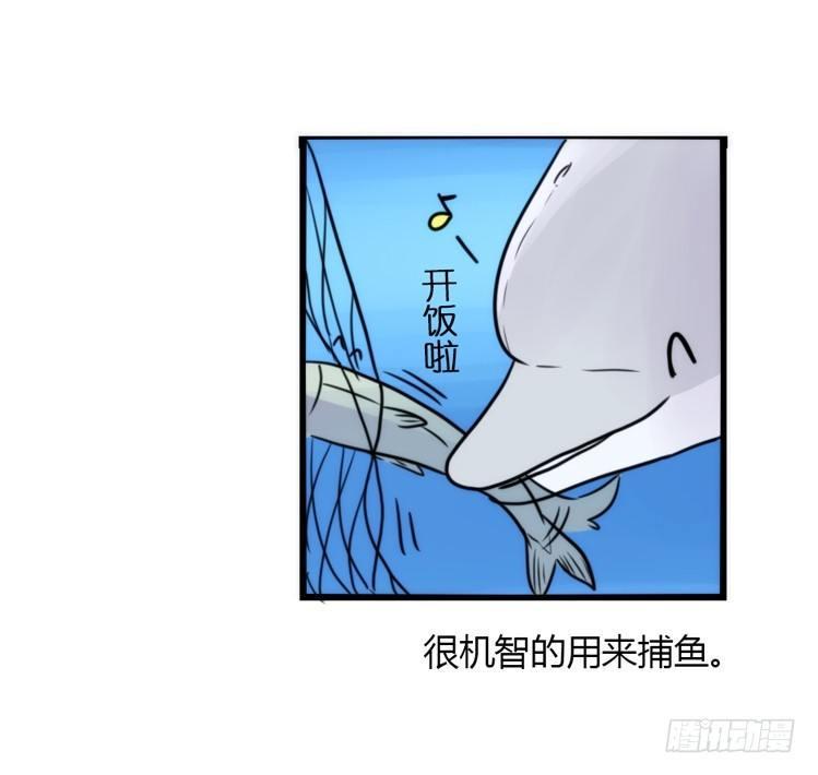 进化之基-海中精灵：海豚直播间全彩韩漫标签