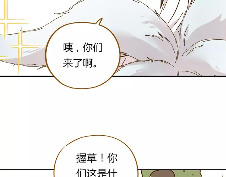 《锦鲤俱乐部》漫画最新章节第17-2话 cos海洋生物？免费下拉式在线观看章节第【41】张图片