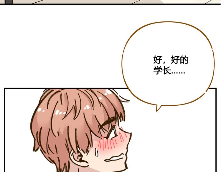 《锦鲤俱乐部》漫画最新章节第49话  新cp解锁免费下拉式在线观看章节第【80】张图片