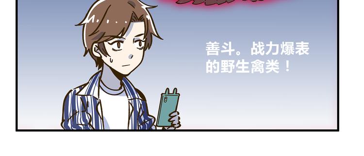 《锦鲤俱乐部》漫画最新章节第59话 我会保护你的！免费下拉式在线观看章节第【64】张图片