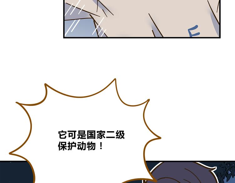 《锦鲤俱乐部》漫画最新章节第61话 这次换我保护你免费下拉式在线观看章节第【33】张图片