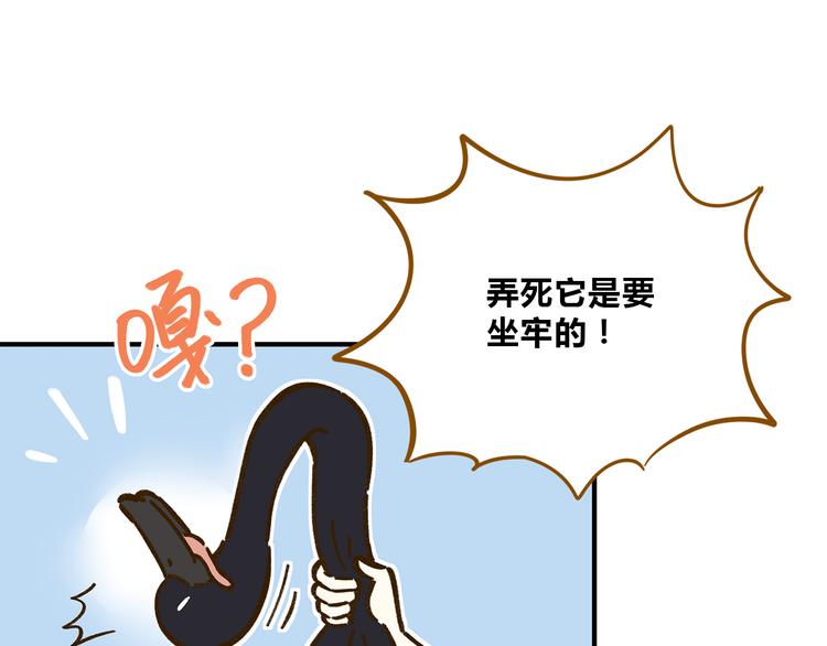 《锦鲤俱乐部》漫画最新章节第61话 这次换我保护你免费下拉式在线观看章节第【35】张图片