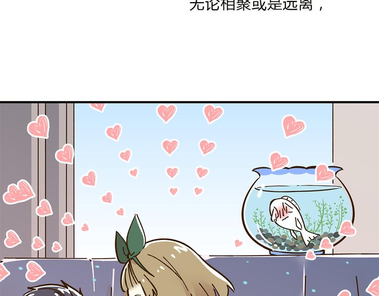 《锦鲤俱乐部》漫画最新章节完结篇 终会相遇免费下拉式在线观看章节第【136】张图片