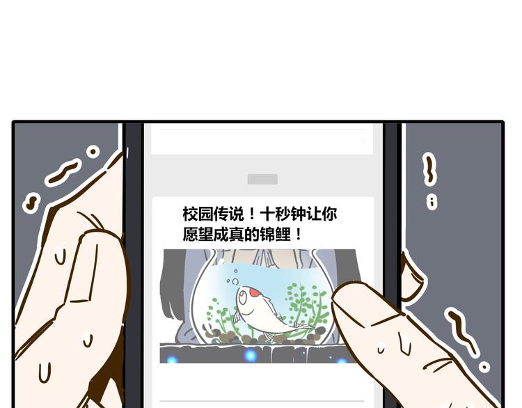 《锦鲤俱乐部》漫画最新章节第9-1话 许愿锦鲤免费下拉式在线观看章节第【65】张图片