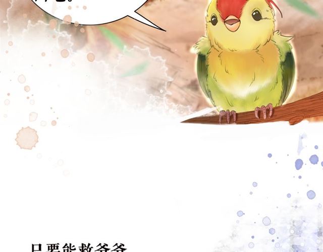 《极品废材小姐》漫画最新章节第105话 传说中的凶兽？免费下拉式在线观看章节第【11】张图片