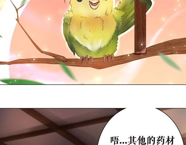 《极品废材小姐》漫画最新章节第105话 传说中的凶兽？免费下拉式在线观看章节第【7】张图片