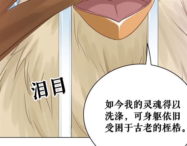 《极品废材小姐》漫画最新章节第107话 腹黑vs狡诈免费下拉式在线观看章节第【42】张图片