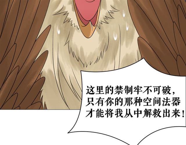 《极品废材小姐》漫画最新章节第107话 腹黑vs狡诈免费下拉式在线观看章节第【49】张图片