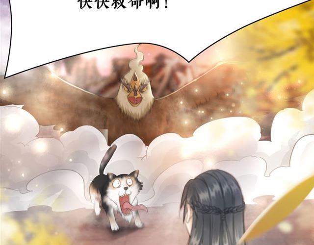 《极品废材小姐》漫画最新章节第108话 欧夜辰回来了？！免费下拉式在线观看章节第【83】张图片