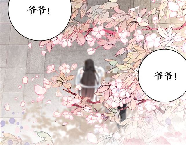 《极品废材小姐》漫画最新章节第113话 令人头痛的婚契免费下拉式在线观看章节第【45】张图片