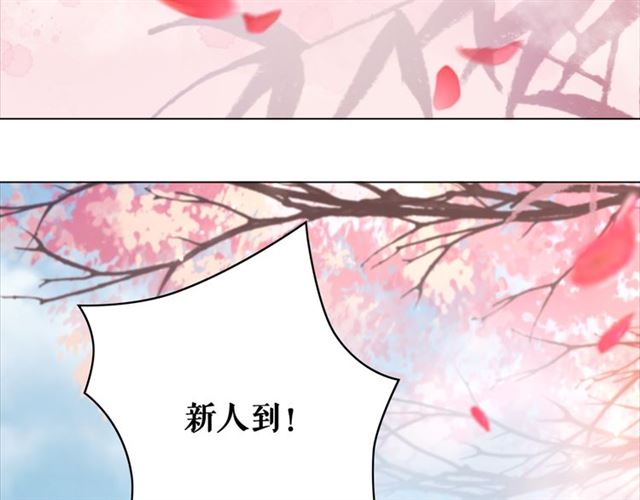 《极品废材小姐》漫画最新章节第115话 神秘的“新娘”免费下拉式在线观看章节第【82】张图片