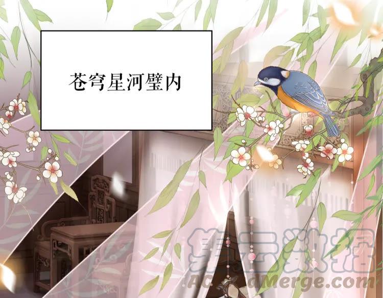 《极品废材小姐》漫画最新章节第147话 神秘少主免费下拉式在线观看章节第【76】张图片