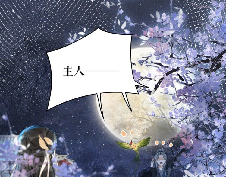 《极品废材小姐》漫画最新章节第189话 星河璧升级？！免费下拉式在线观看章节第【70】张图片