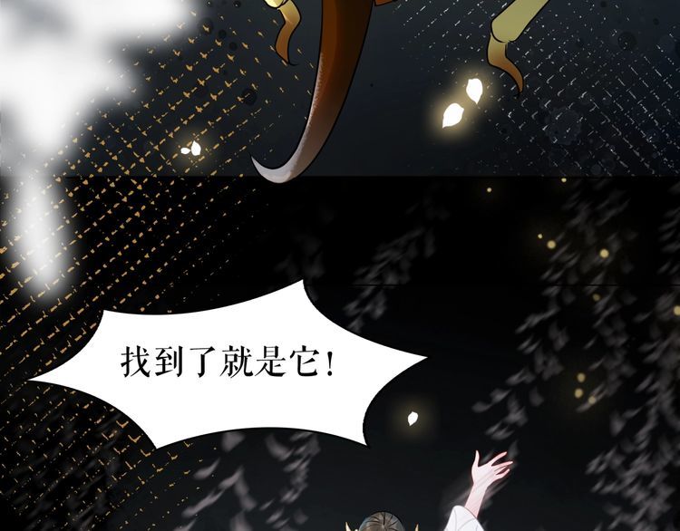 《极品废材小姐》漫画最新章节第201话 新的伙伴？免费下拉式在线观看章节第【36】张图片