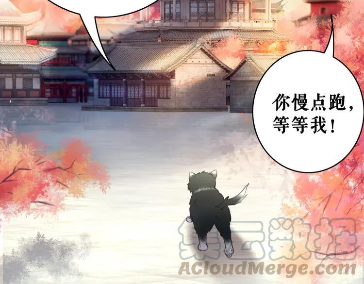 《极品废材小姐》漫画最新章节第40话 你做她妹妹好了免费下拉式在线观看章节第【76】张图片