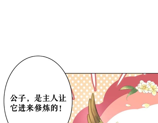 《极品废材小姐》漫画最新章节第42话 谁动了九儿？免费下拉式在线观看章节第【14】张图片