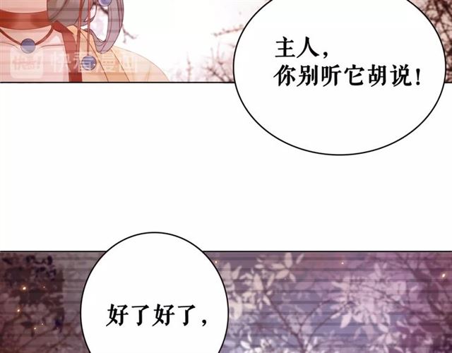 《极品废材小姐》漫画最新章节第61话 契约成功，双双晋级！免费下拉式在线观看章节第【16】张图片