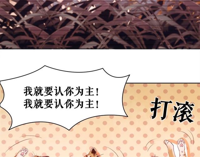 《极品废材小姐》漫画最新章节第61话 契约成功，双双晋级！免费下拉式在线观看章节第【21】张图片