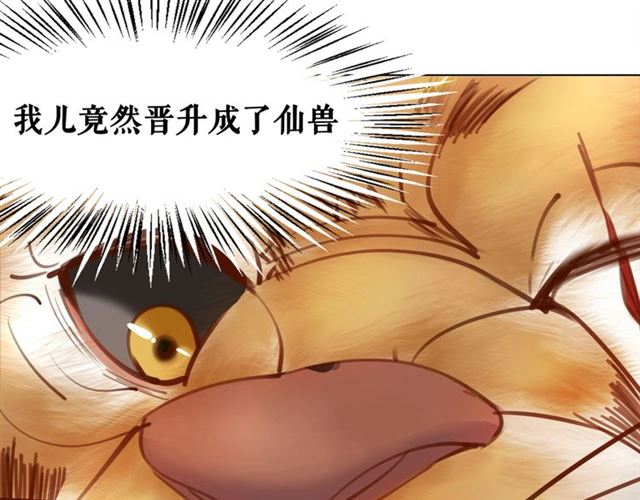 《极品废材小姐》漫画最新章节第61话 契约成功，双双晋级！免费下拉式在线观看章节第【50】张图片