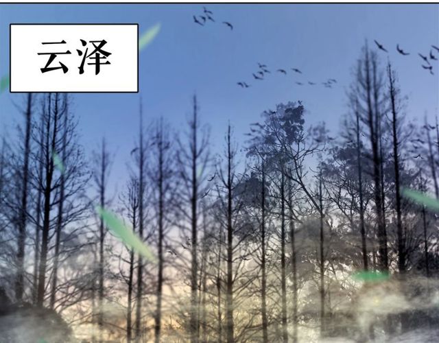 《极品废材小姐》漫画最新章节第67话 胜利的果实遭夺取？免费下拉式在线观看章节第【12】张图片