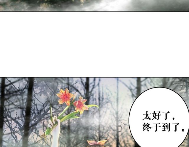 《极品废材小姐》漫画最新章节第67话 胜利的果实遭夺取？免费下拉式在线观看章节第【52】张图片