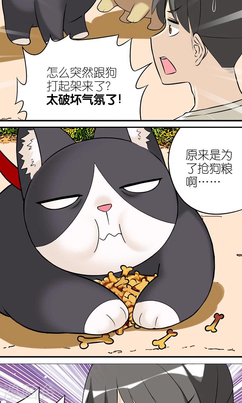 《就想要个女朋友》漫画最新章节第403话 七夕的狗粮3免费下拉式在线观看章节第【3】张图片