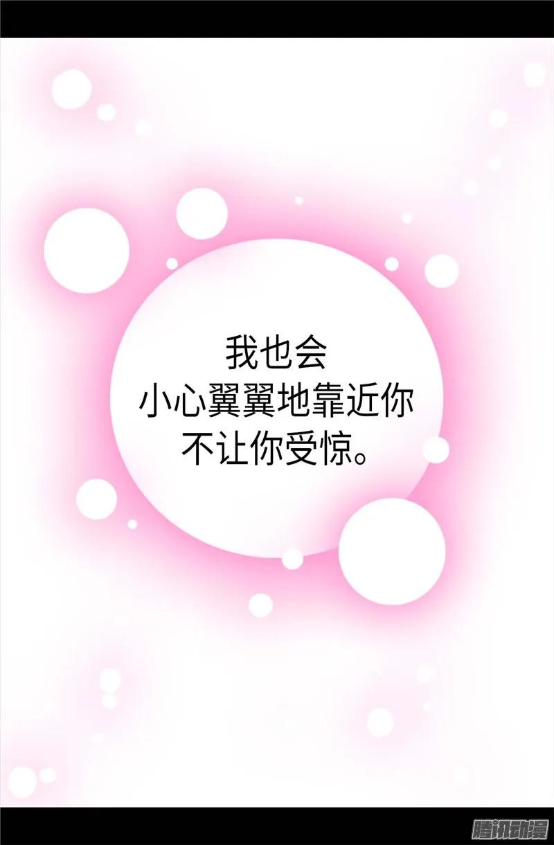 《据说我是王的女儿？》漫画最新章节202.打赌免费下拉式在线观看章节第【16】张图片