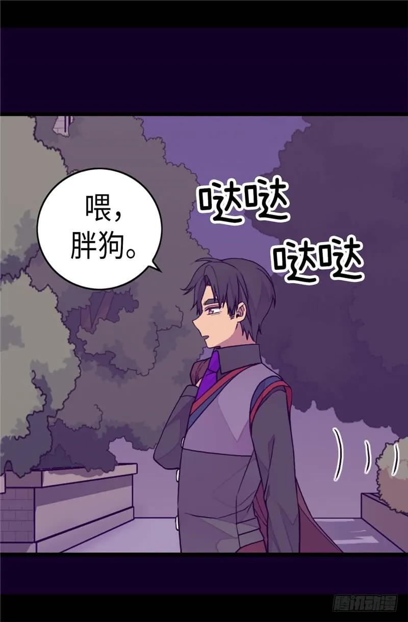 《据说我是王的女儿？》漫画最新章节269.二哥为我来的？免费下拉式在线观看章节第【4】张图片