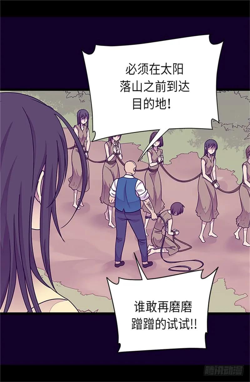 《据说我是王的女儿？》漫画最新章节289.他在搞什么啊！免费下拉式在线观看章节第【5】张图片