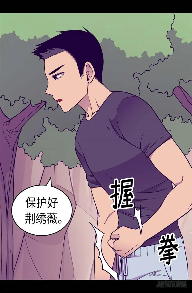 《据说我是王的女儿？》漫画最新章节311.优先保护公主免费下拉式在线观看章节第【8】张图片