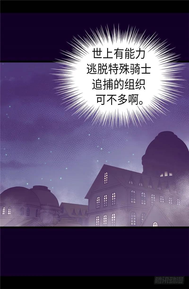 《据说我是王的女儿？》漫画最新章节319.保护我的大家都很帅！免费下拉式在线观看章节第【20】张图片