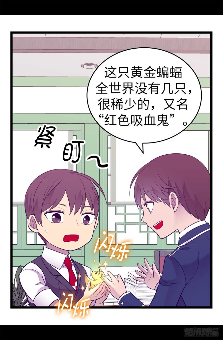 《据说我是王的女儿？》漫画最新章节523.逐个击破免费下拉式在线观看章节第【12】张图片