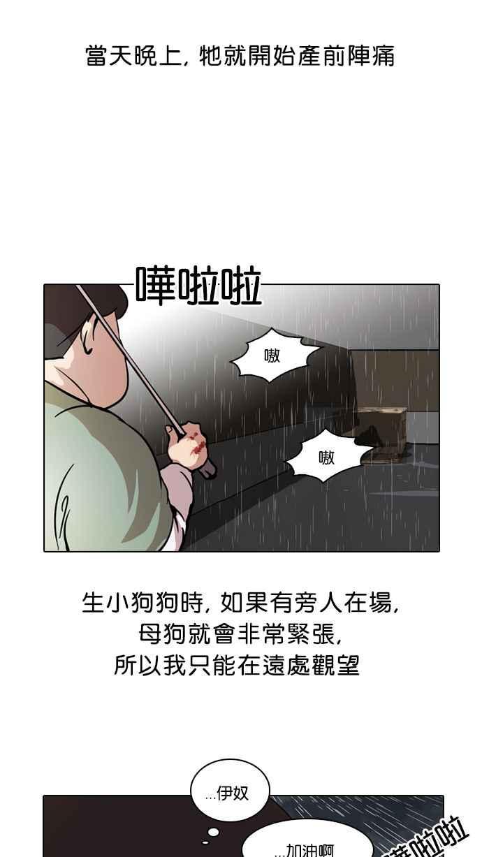 《看脸时代》漫画最新章节[第61话] 流浪犬 - 伊奴（4）免费下拉式在线观看章节第【14】张图片