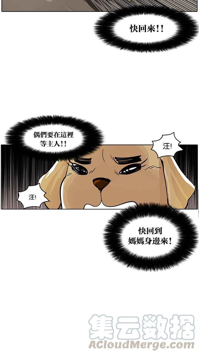 《看脸时代》漫画最新章节[第62话] 流浪犬 - 伊奴（结尾）免费下拉式在线观看章节第【37】张图片