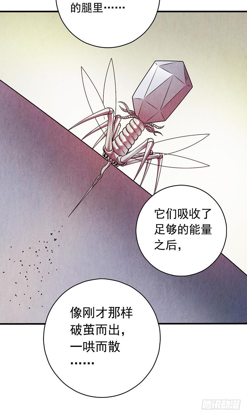 《空墟》漫画最新章节第14回：机器昆虫免费下拉式在线观看章节第【37】张图片