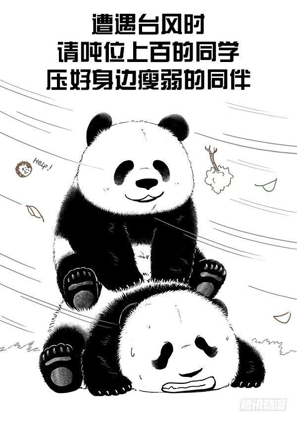 《快把动物放进冰箱》漫画最新章节106台风出不散我的童真免费下拉式在线观看章节第【2】张图片