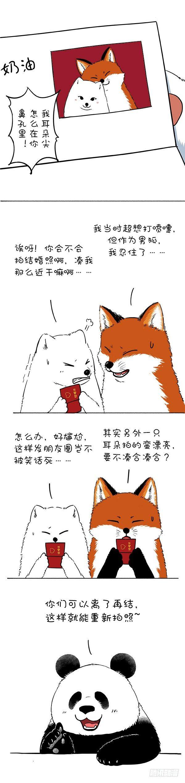 《快把动物放进冰箱》漫画最新章节121阿直奶油领证官宣~免费下拉式在线观看章节第【2】张图片