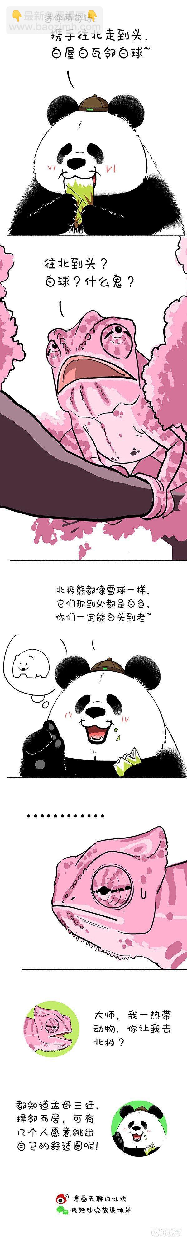 《快把动物放进冰箱》漫画最新章节146奇大师不诓你之爱到白头免费下拉式在线观看章节第【3】张图片