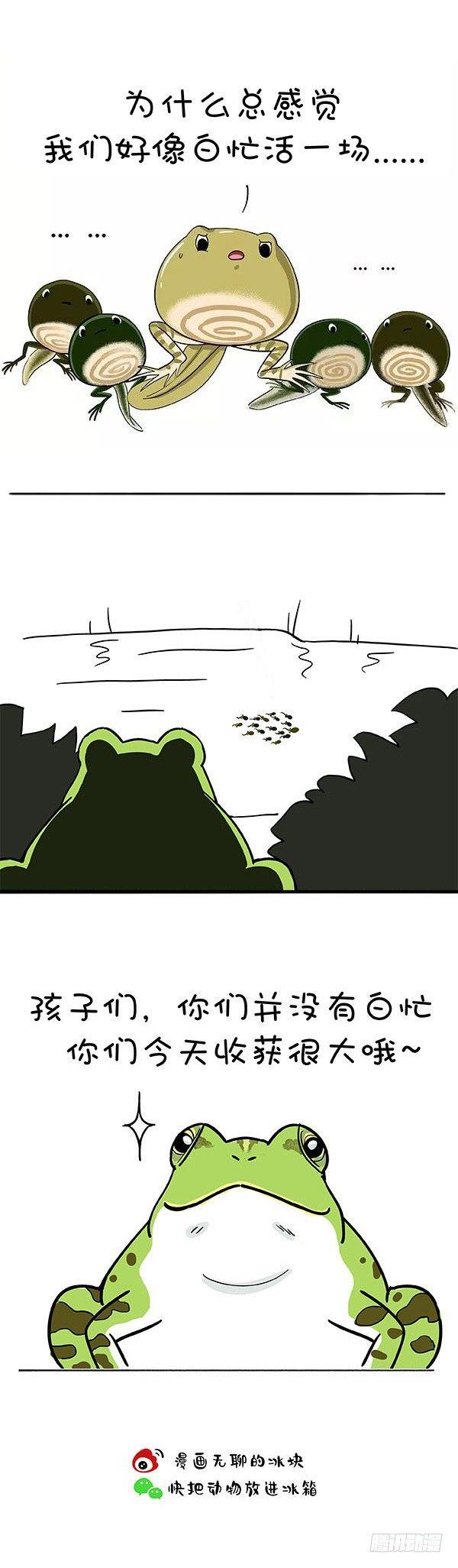 《快把动物放进冰箱》漫画最新章节156生命中最重要的免费下拉式在线观看章节第【7】张图片