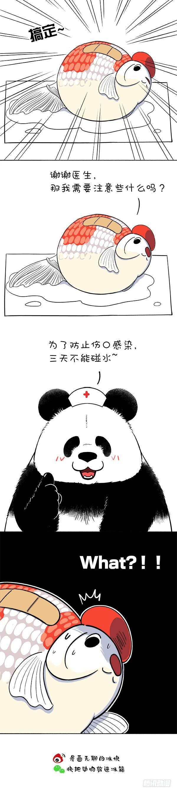 《快把动物放进冰箱》漫画最新章节161我觉得我还能抢救一下免费下拉式在线观看章节第【3】张图片