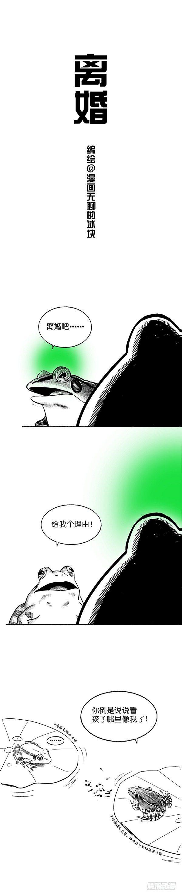 《快把动物放进冰箱》漫画最新章节017离婚免费下拉式在线观看章节第【1】张图片