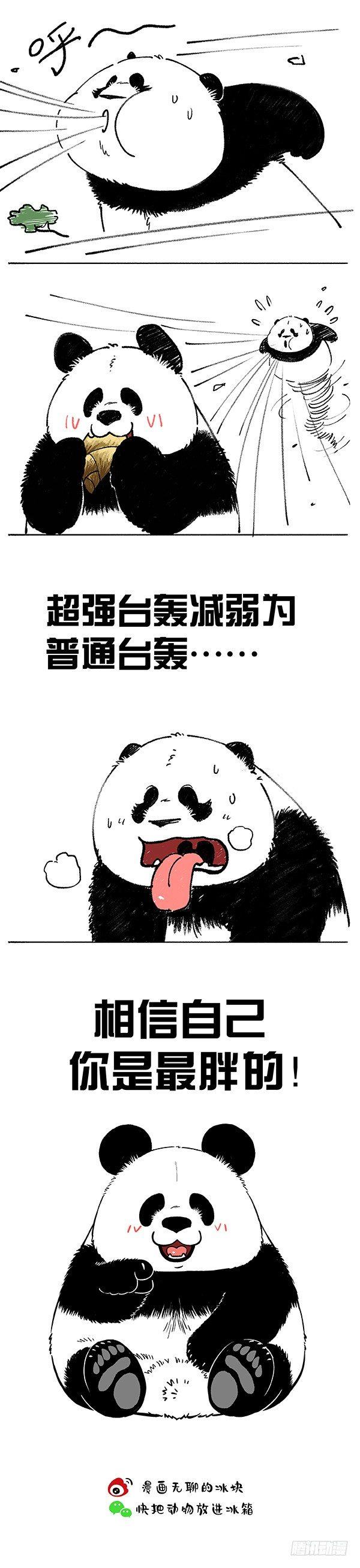 《快把动物放进冰箱》漫画最新章节176相信自己你是最胖的免费下拉式在线观看章节第【3】张图片